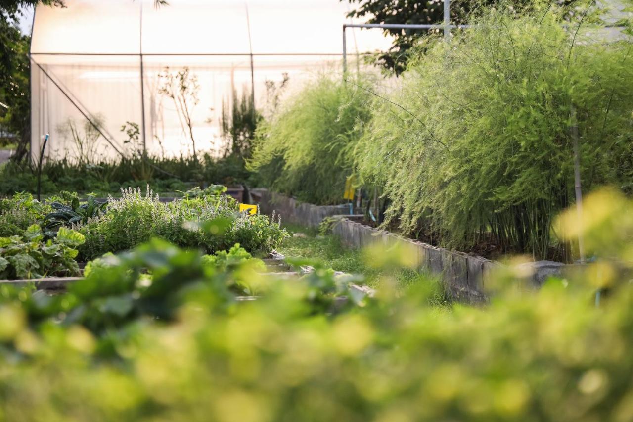Green Me Organic Farm Stay Khaoyai Ban Khlong Yang Esterno foto