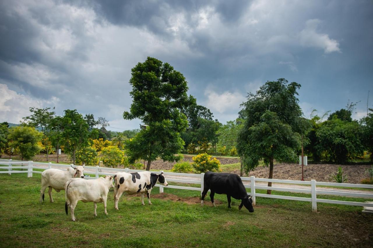 Green Me Organic Farm Stay Khaoyai Ban Khlong Yang Esterno foto