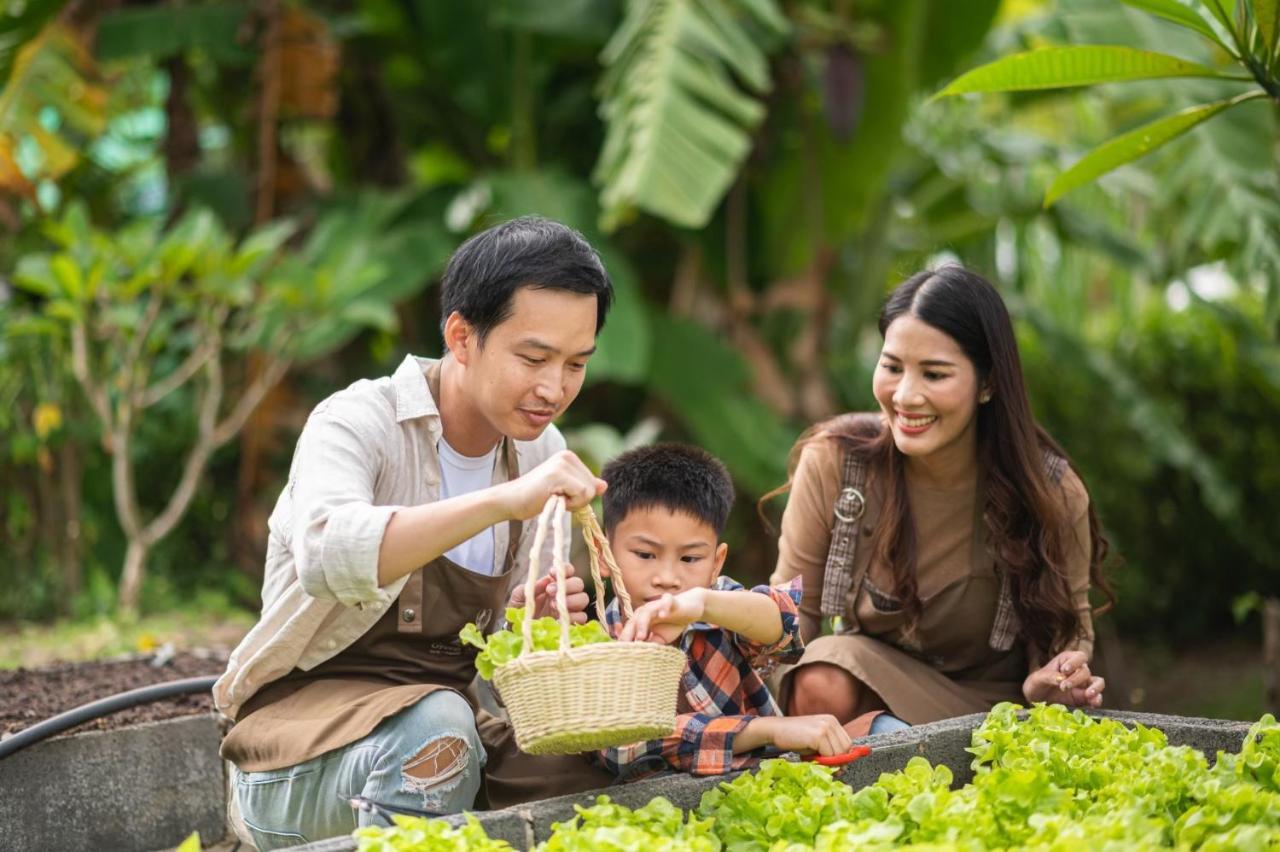 Green Me Organic Farm Stay Khaoyai Ban Khlong Yang Esterno foto